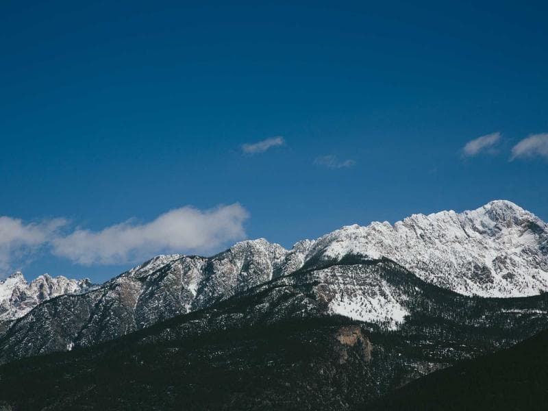 Artisan Coffee Bean Set - Image 2