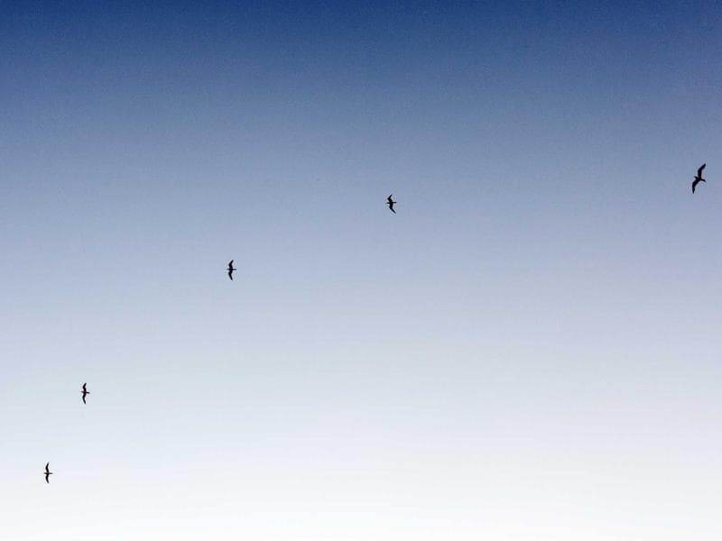 Minimalist Analog Watch - Image 3