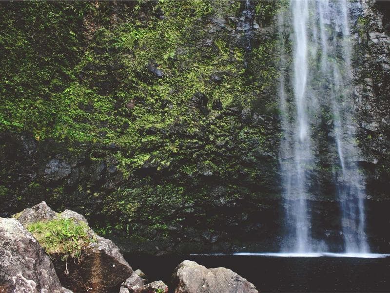 Slim Fit Denim Jeans